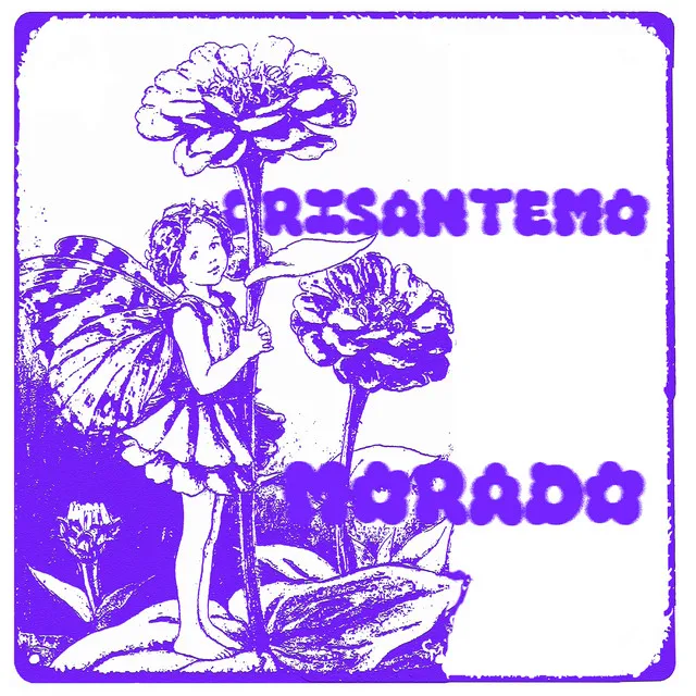 Crisantemo Morado