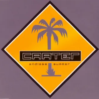 Endless Summer (Extended version) by Caater