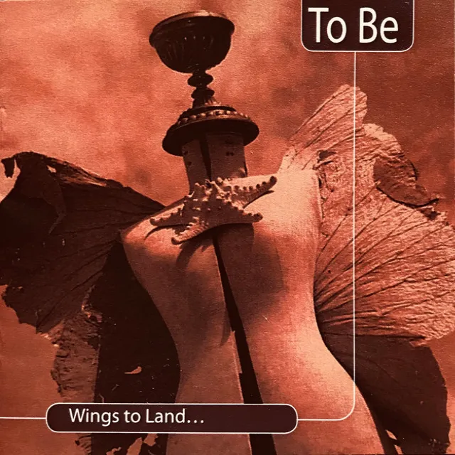 Wings to Land - Touched