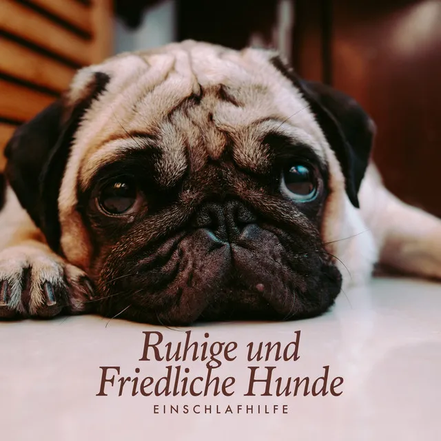 Ruhige und Friedliche Hunde