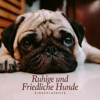 Ruhige und Friedliche Hunde by Hunde Entspannungsmusik