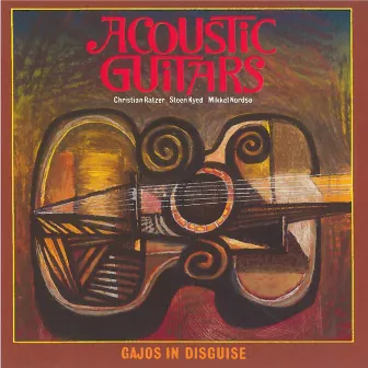 Acoustic Guitars - Gajos in Disguise by Steen Kyed