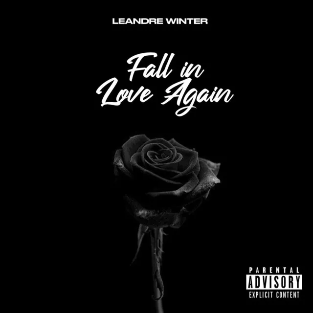 Fall in Love Again