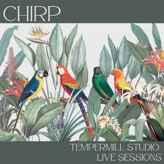 Tempermill Studio Live Sessions by Chirp