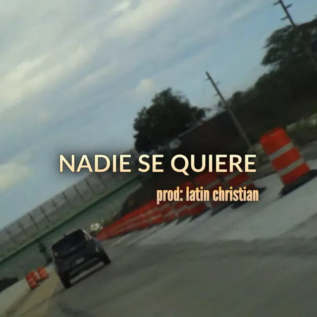 Nadie Se Quiere