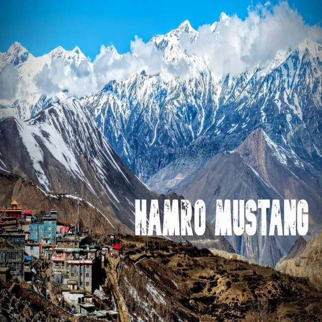 HAMRO MUSTANG