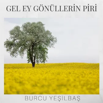 Gel Ey Gönüllerin Piri by Burcu Yeşilbaş