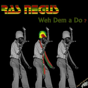 Weh Dem a Do? by Ras Negus