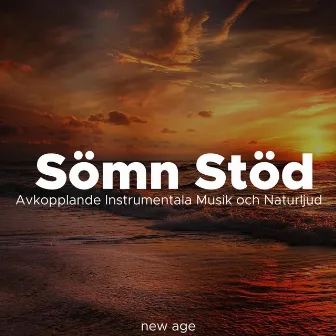 Sömn Stöd: Avkopplande Instrumentala Musik och Naturljud by Ludovico Allevia