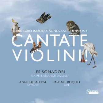 Florid Early Baroque Songs and Polyphony: Cantate Violini by Pascale Boquet