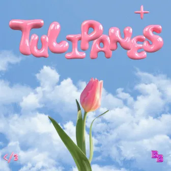 Tulipanes by BB Aldda