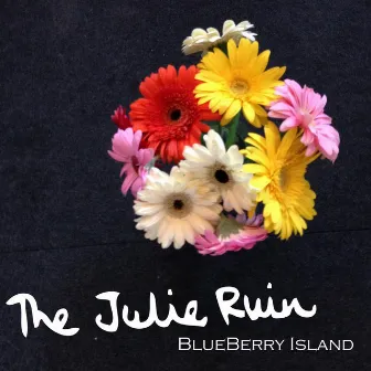 Blueberry Island by The Julie Ruin