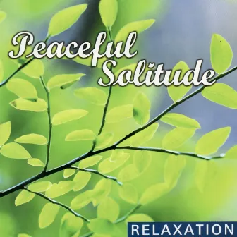 Relaxation - Peaceful Solitude by Lifestyles Players