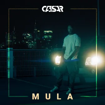 Mula by CA3SAR