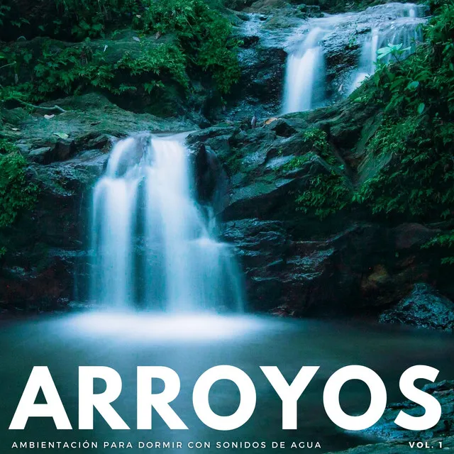 Arroyos: Ambientación Para Dormir Con Sonidos De Agua Vol. 1