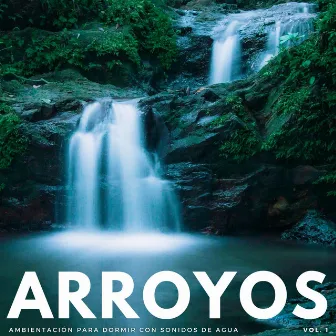 Arroyos: Ambientación Para Dormir Con Sonidos De Agua Vol. 1 by Experiencia musical de sueño profundo