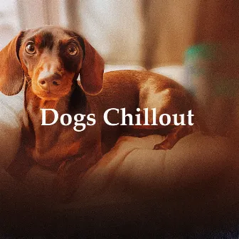 Dogs Chillout by Dog's Music