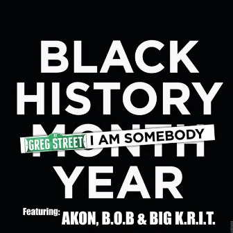 I Am Somebody (feat. Akon, B.o.B & Big K.R.I.T.) - Single by DJ Greg Street