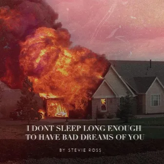 I Don't Sleep Long Enough to Have Bad Dreams of You by Stevie Ross