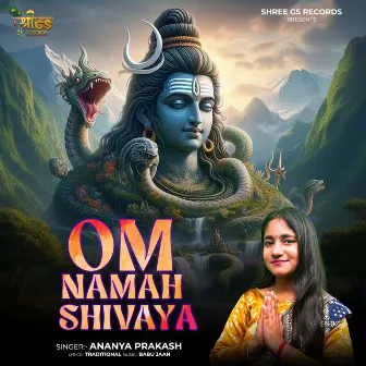 Om Namah Shivaya by Amit singh Ammy