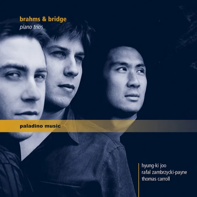 Piano Trio No. 1 in B Major, Op. 8 (1889 Version): I. Allegro con brio