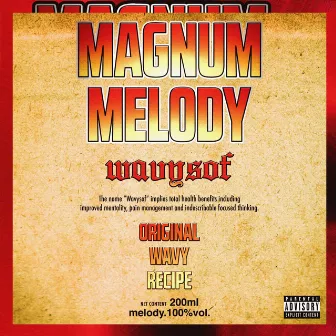 Magnum Melody by Wavysof