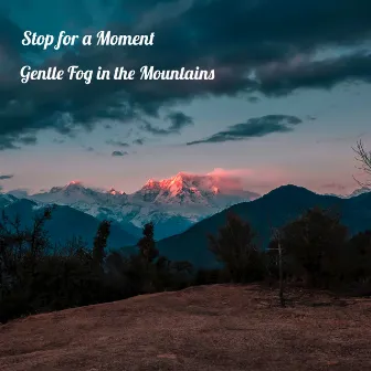 Gentle Fog in the Mountains by Stop for a Moment