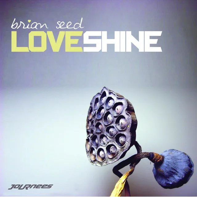 Loveshine - Brian Seed's Moontribe Acid Dub