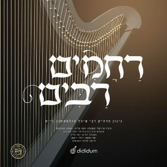 Rachamim Rabim by Mona Rosenblum