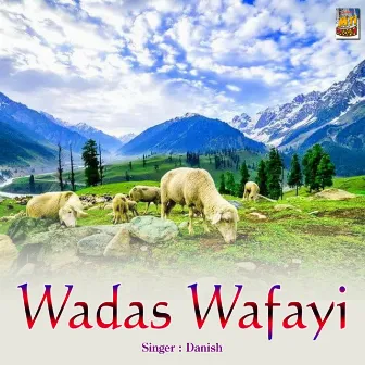 Wadas Wafayi by Danish