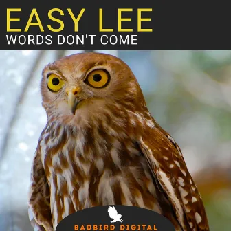 Words Don't Come by Easy Lee