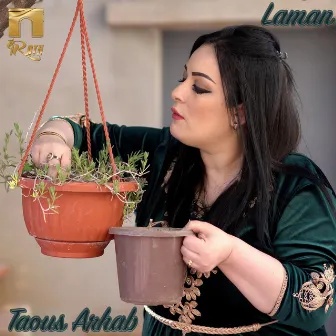 Laman by Taous Arhab