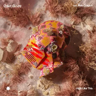 High Like This (feat. Reo Cragun) by QUIET BISON