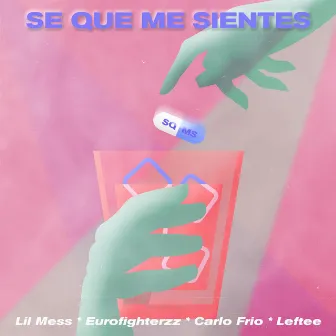 Sé Que Me Sientes by Carlo Frio