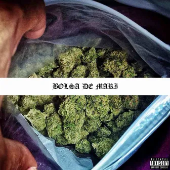 Bolsa de Mary by Joven Dios