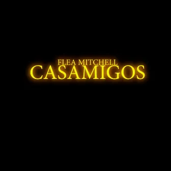 Casamigos by Unknown Artist