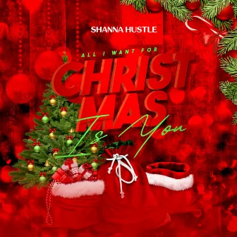 All I Want For Christmas Is You by Shanna Hustle