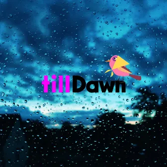 Rainy Bird by tillDawn