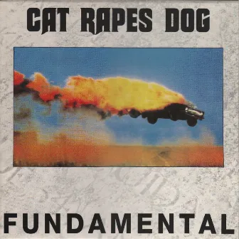 Fundamental (2020 Remaster) by Cat Rapes Dog