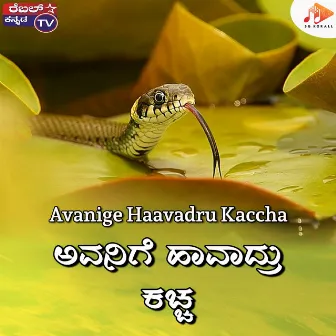 Avanige Haavadru Kaccha by Kiran Kumar Laggere