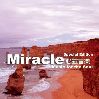 Miracle (Music for the soul) by 張崇德