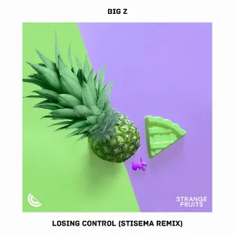 Losing Control (Stisema Remix) by Stisema