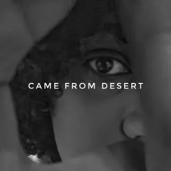 CAME FROM DESERT by Sap The Lion