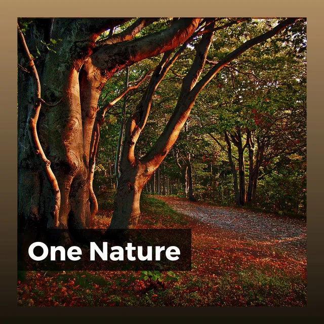 One Nature