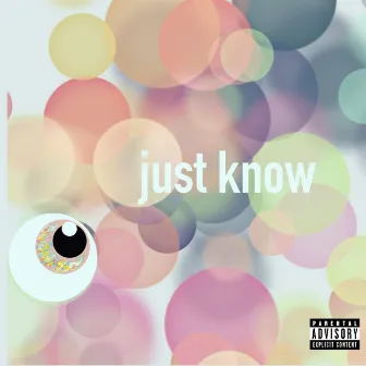 Just Know by Ray Guapo