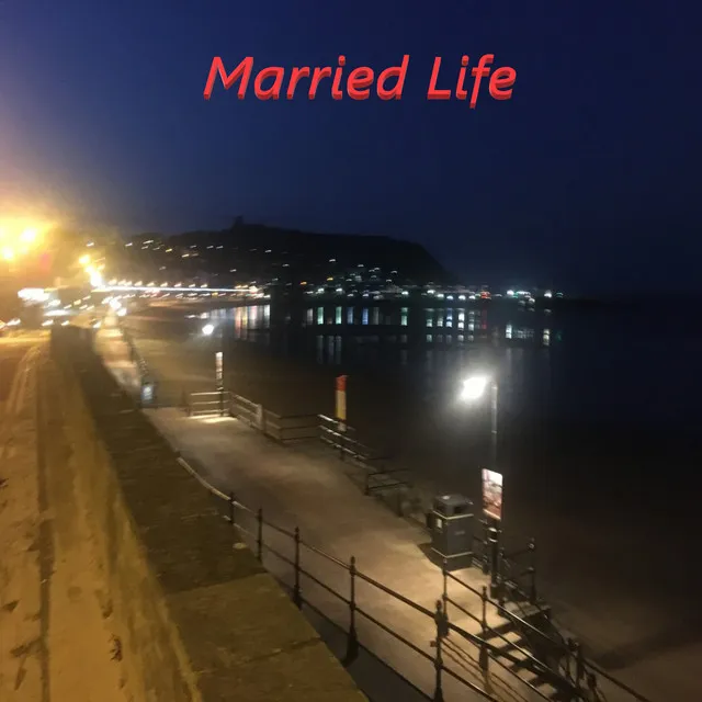 Married Life - Instrumental Version