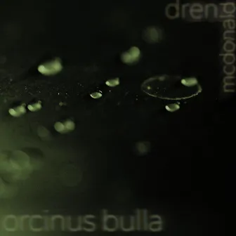 Orcinus Bulla by Dren McDonald