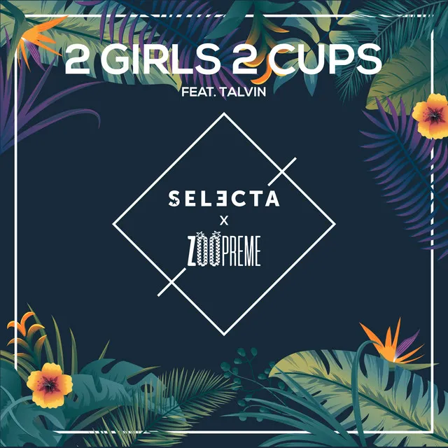 2 Girls 2 Cups