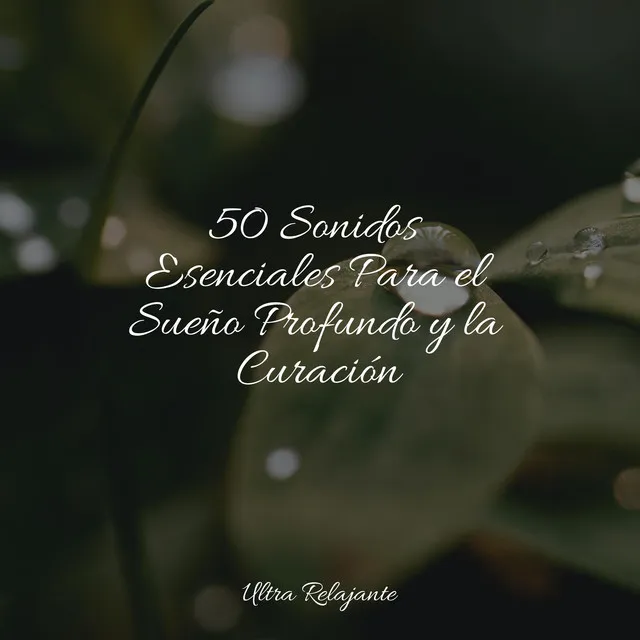 50 Sonidos Esenciales Para el Sueño Profundo y la Curación