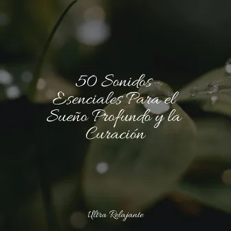 50 Sonidos Esenciales Para el Sueño Profundo y la Curación by Masajes Spas